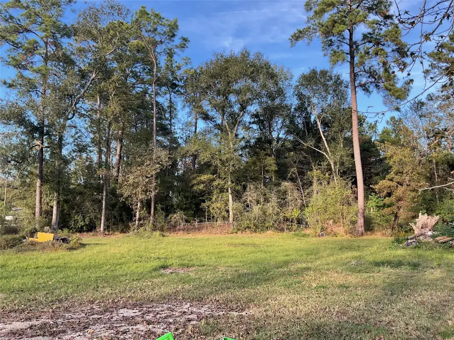 23701 Vick Dr / 22401 Russell Drive, New Caney, TX 77357 - Image #3