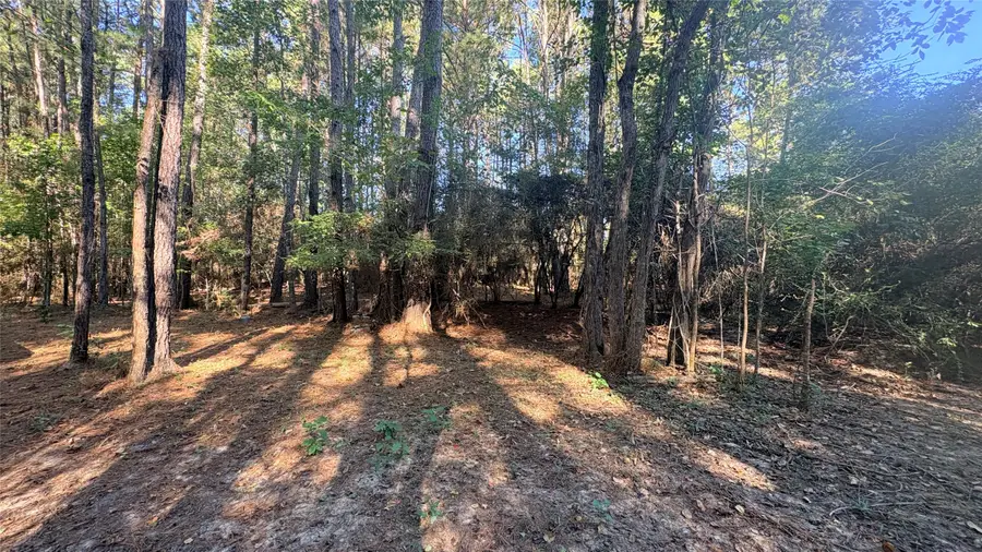 0 County Road 4426, Spurger, TX 75979 - #3