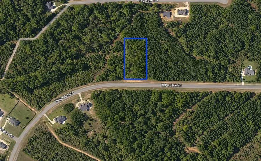 15997 Ridge Oak Road, Willis, TX 77378 - #3