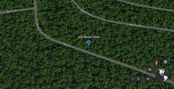 Lots 465 and 466 Wood Forest, Livingston, TX 77351