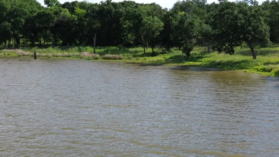 TBD Lot 30 Pr 5882a, Jewett, TX 75846 - #1