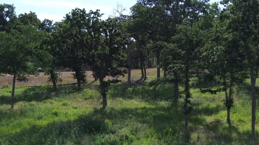 TBD Lot 30 Pr 5882a, Jewett, TX 75846 - #3