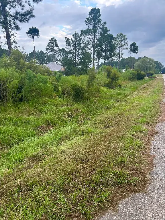 53 Road 5248, Cleveland, TX 77327 - #1