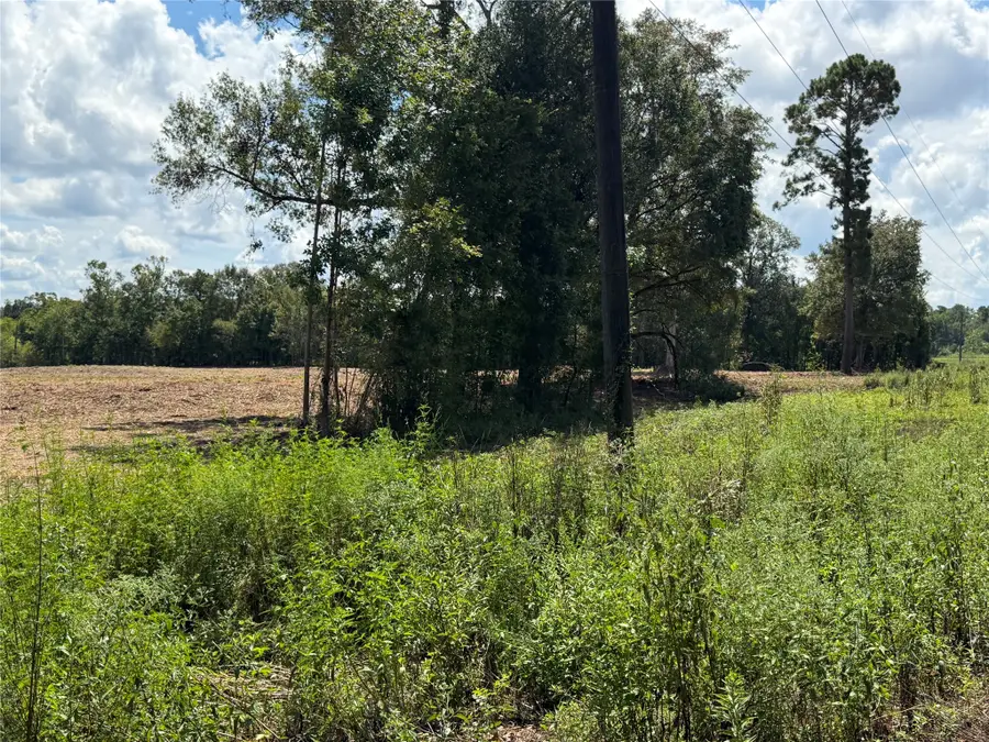 1575 Highway 96 S, San Augustine, TX 75972 - #2