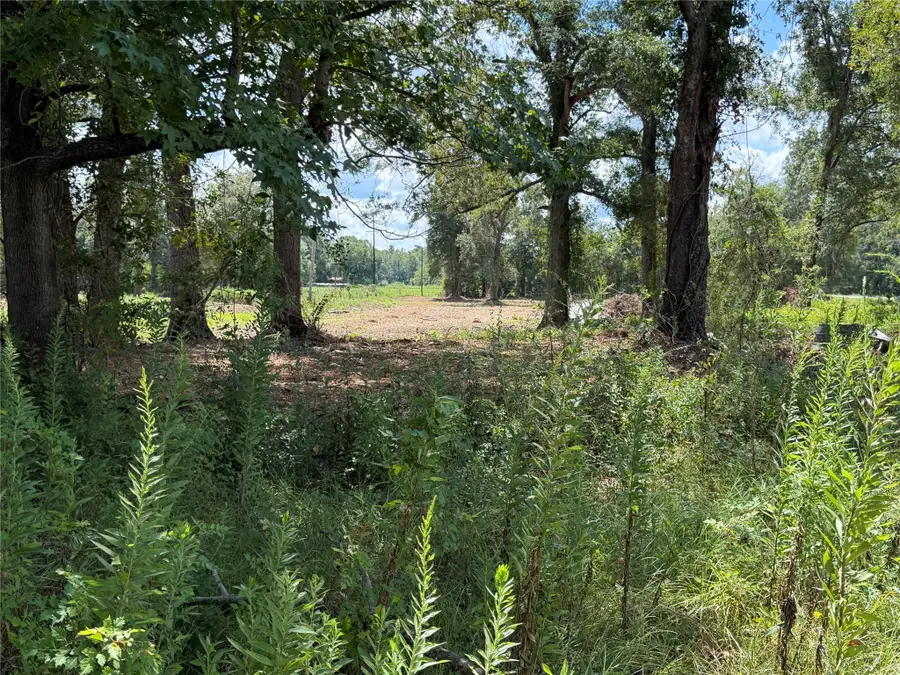 1575 Highway 96 S, San Augustine, TX 75972 - #3