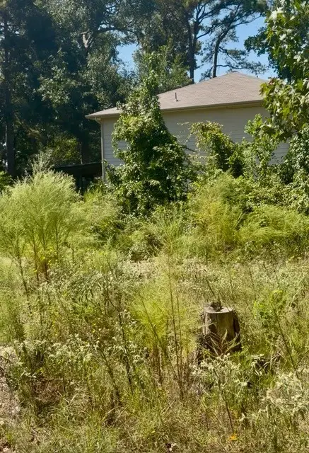 18944 Iris Ln, Porter, TX 77365 - #2