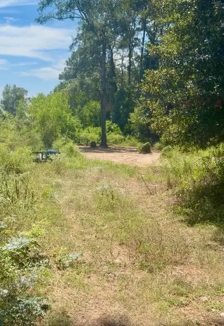18944 Iris Ln, Porter, TX 77365 - #3