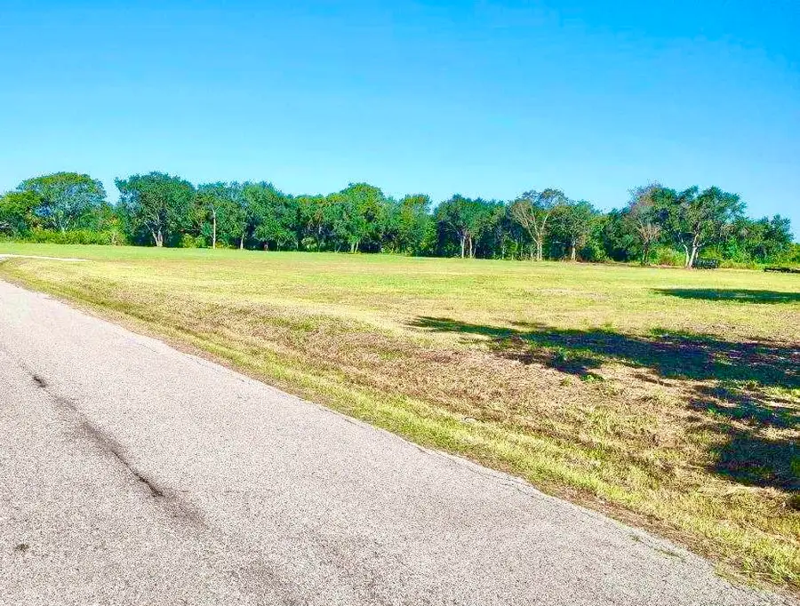 TBD Alston, Hitchcock, TX 77563 - Image #2