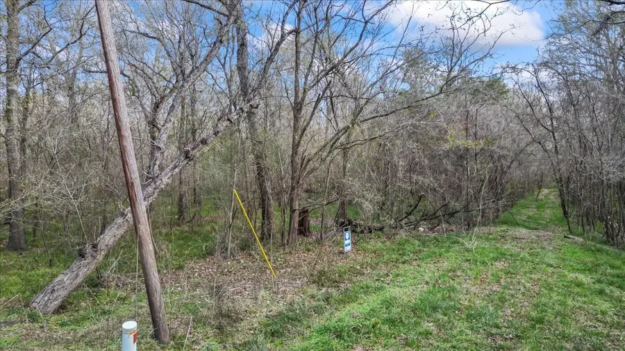 tbd County Road 2601, Cleveland, TX 77327 - #2