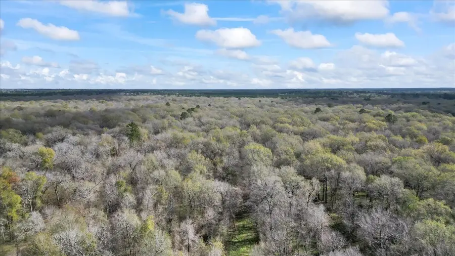 tbd County Road 2601, Cleveland, TX 77327 - #3