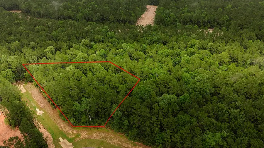 4809 Red Coyote Lane, Montgomery, TX 77316 - #3