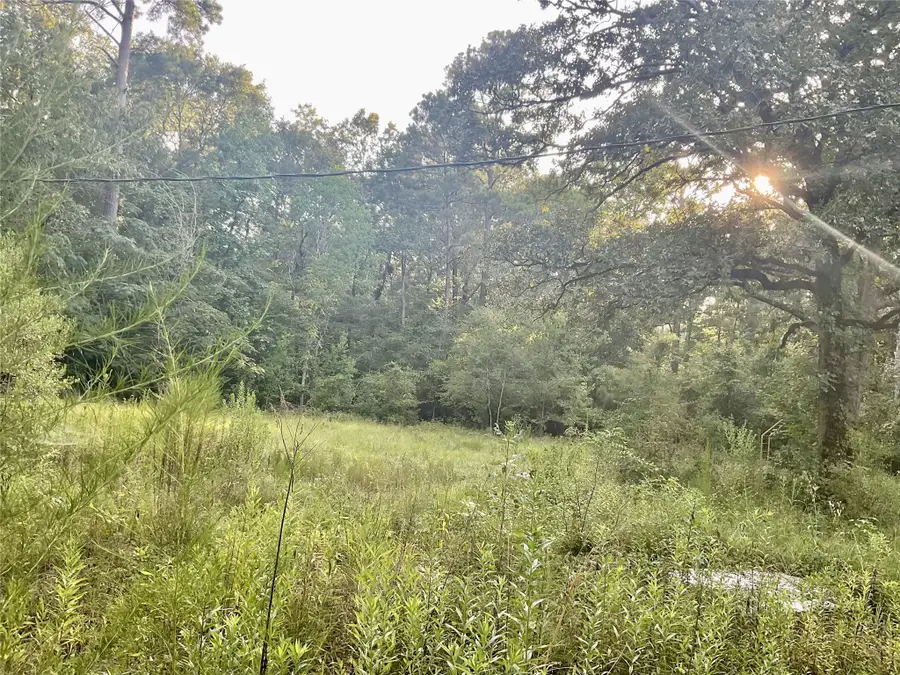 3508 Gilliland Creek Road, Huntington, TX 75949 - #2