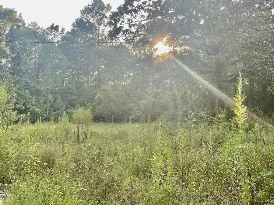 3508 Gilliland Creek Road, Huntington, TX 75949 - #3