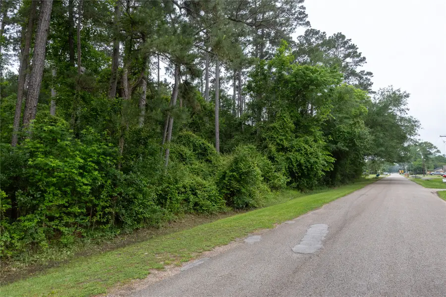 00 Lazy Lane, Porter, TX 77365 - #2