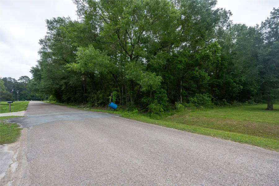 00 Lazy Lane, Porter, TX 77365 - #3