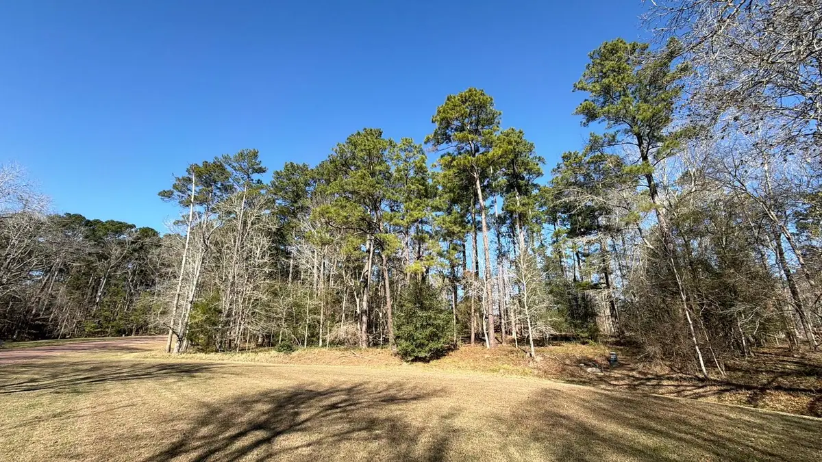 0 Royale Greens Drive, Coldspring, TX 77331 - Image #1