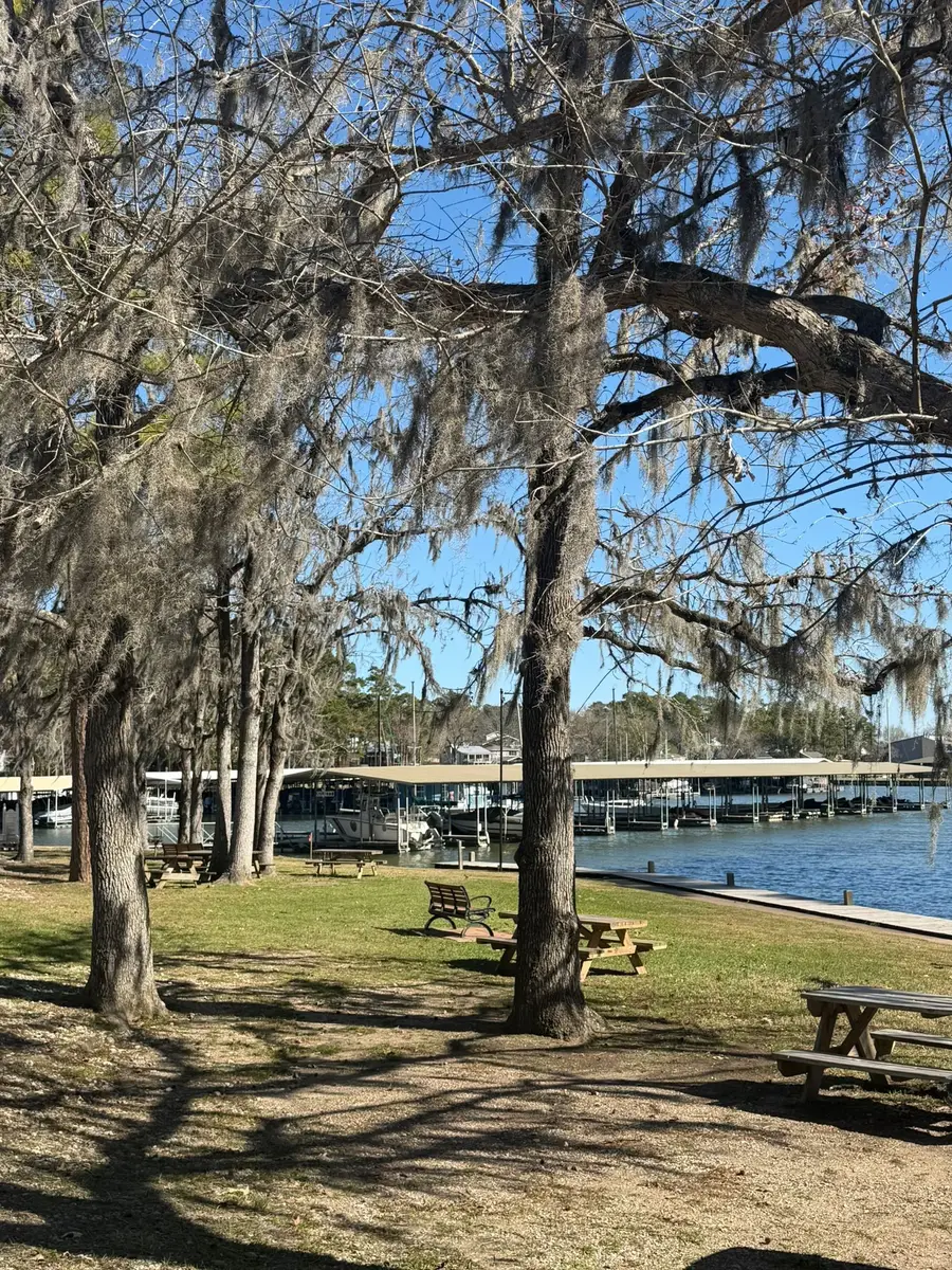 0 Royale Greens Drive, Coldspring, TX 77331 - Image #3