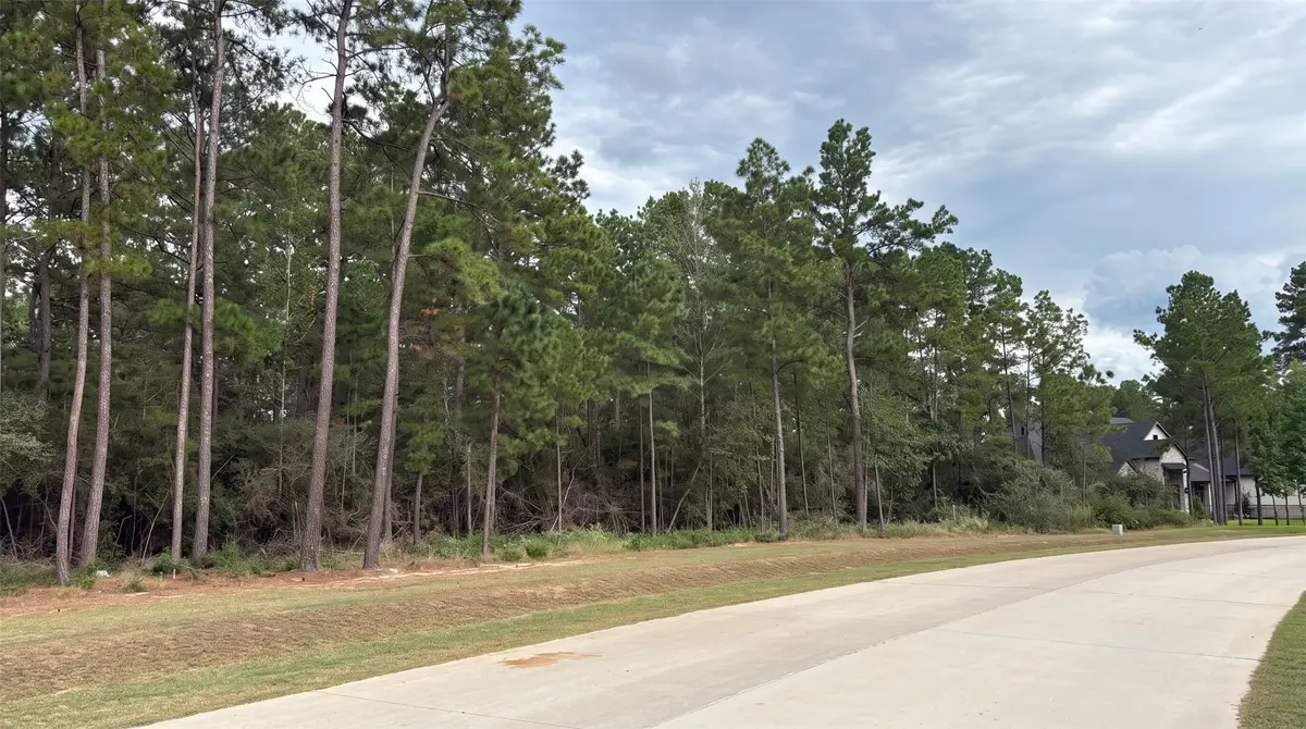 7241 Red Oak Grove Road, Montgomery, TX 77316 - #1