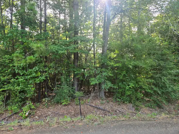 R000104361 Leisure Drive, Hemphill, TX 75948