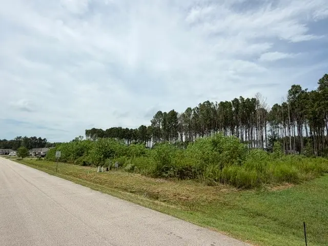 196 County Road 6614, Dayton, TX 77535 - #3