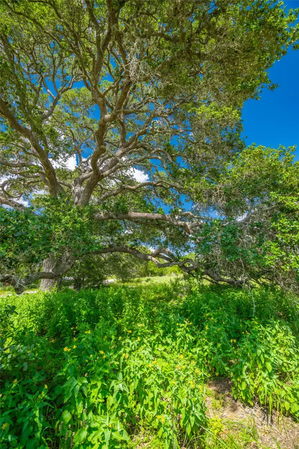 0 County Road 146, Hallettsville, TX 77964
