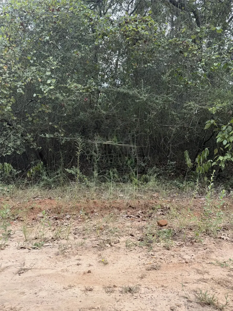 TBD Holly Springs, Hilltop Lakes, TX 77871 - #3