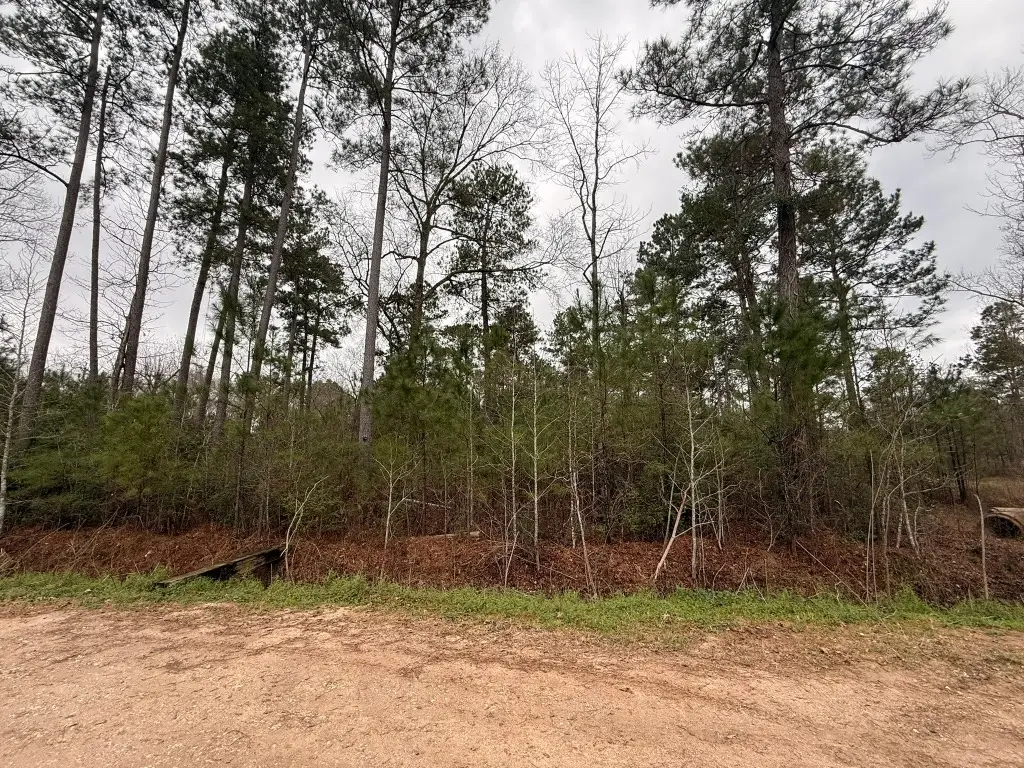 0 Shaffer Road, Cleveland, TX 77327 - #1