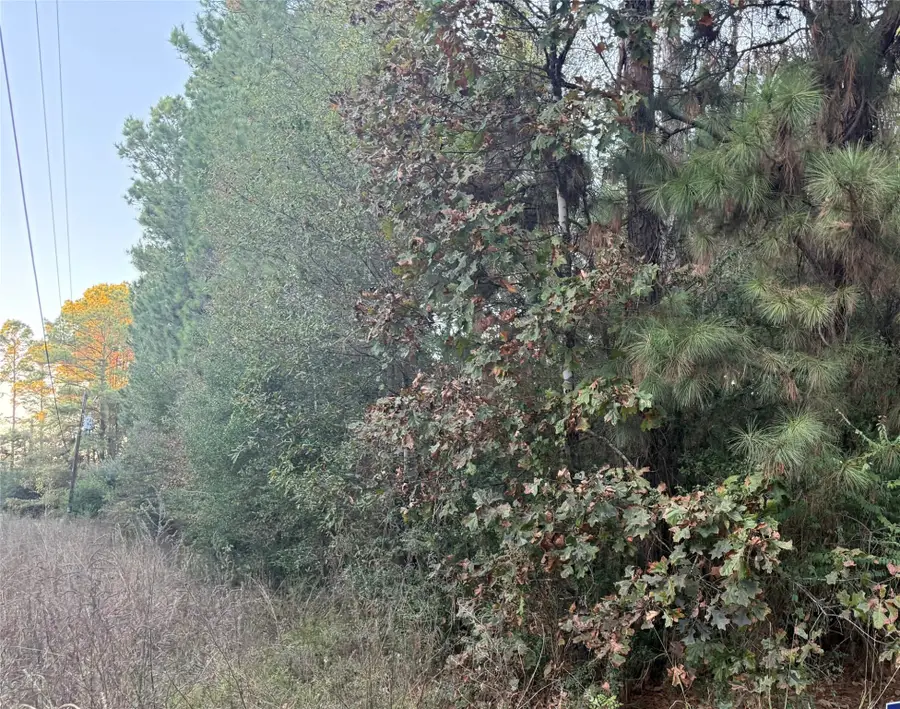 Lot 111-A Pioneer Tr, Livingston, TX 77351 - Image #2