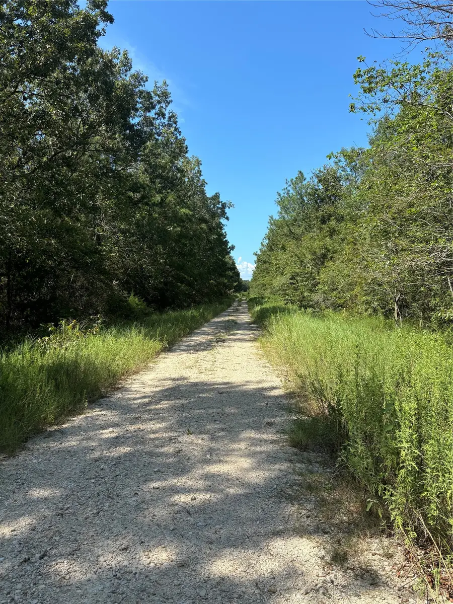 (43208) Wake Forest, Livingston, TX 77351 - #2