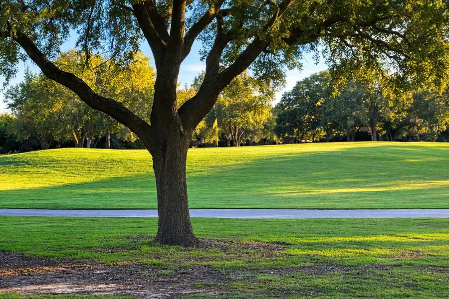 21407 Willow Glade Drive, Katy, TX 77450 - #3