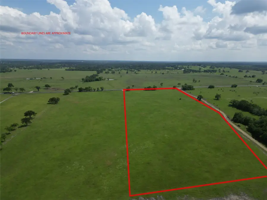 13.85 +/- Acres Hwy 30, Bedias, TX 77831 - #3