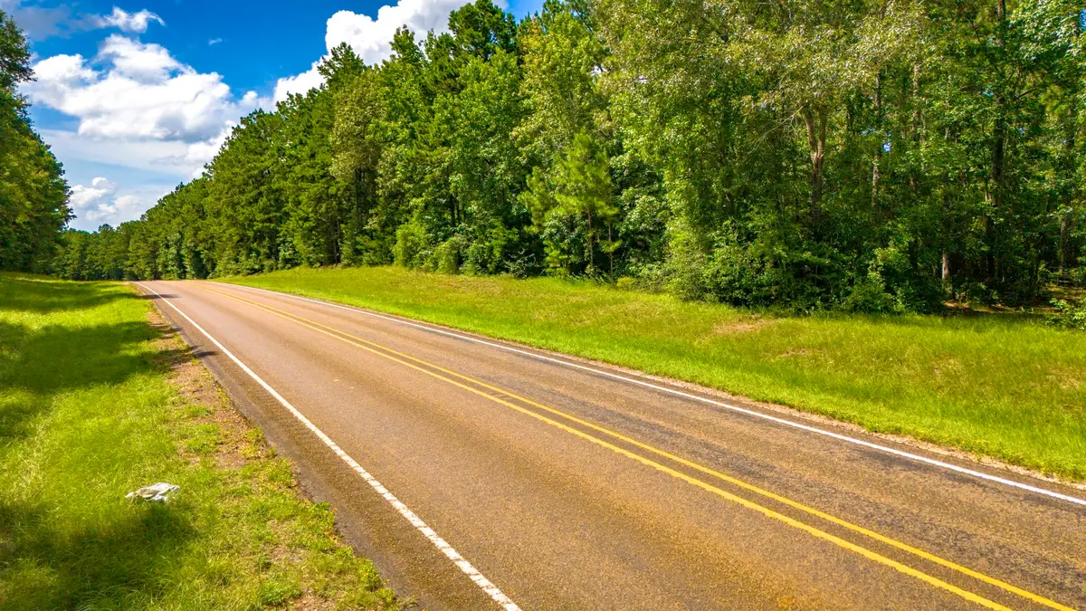 45 Acres Fm 229, Crockett, TX 75835 - Image #1