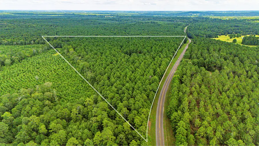 45 Acres Fm 229, Crockett, TX 75835 - Image #2