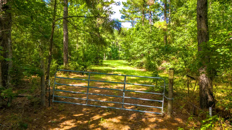 45 Acres Fm 229, Crockett, TX 75835 - Image #3