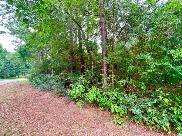 30803 Green Forest, Magnolia, TX 77354