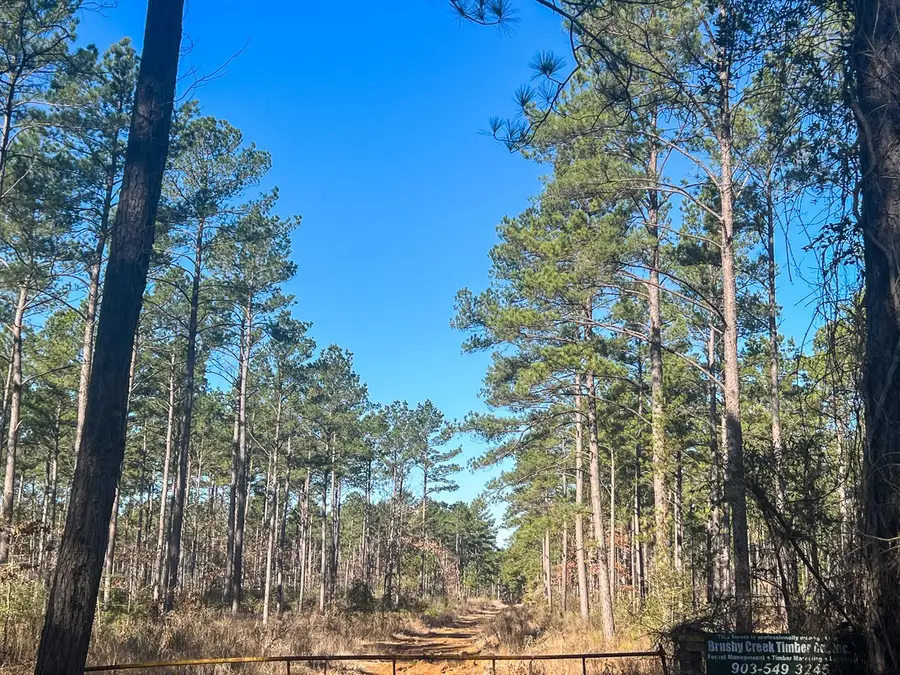 5 Louisville Road, Pennington, TX 75845 - #3