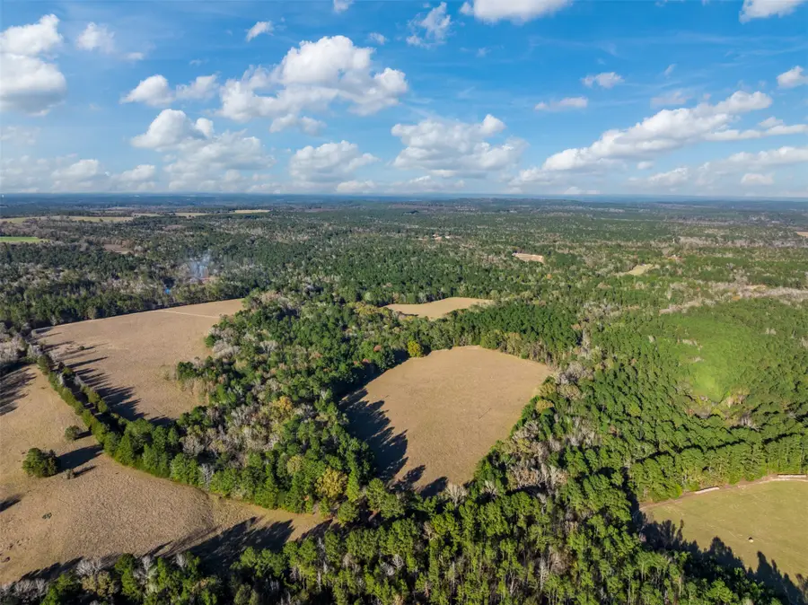 TBD Anderson County Road 153, Palestine, TX 75801 - #2