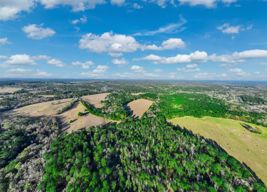 TBD Anderson County Road 153, Palestine, TX 75801 - #3