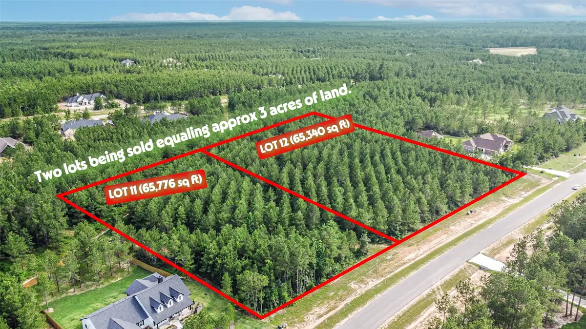 15921 Ridge Oak Road, Willis, TX 77378 - Image #1