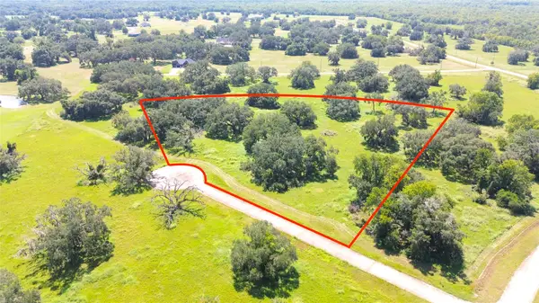 0 Old Henry Court, Angleton, TX 77515