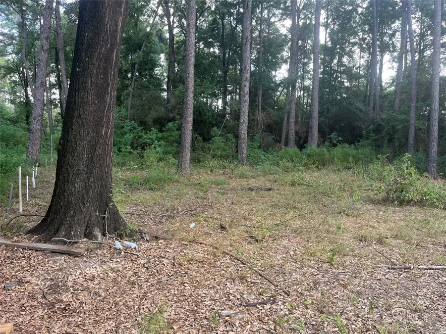 000 Hardy Road, Houston, TX 77073 - #2