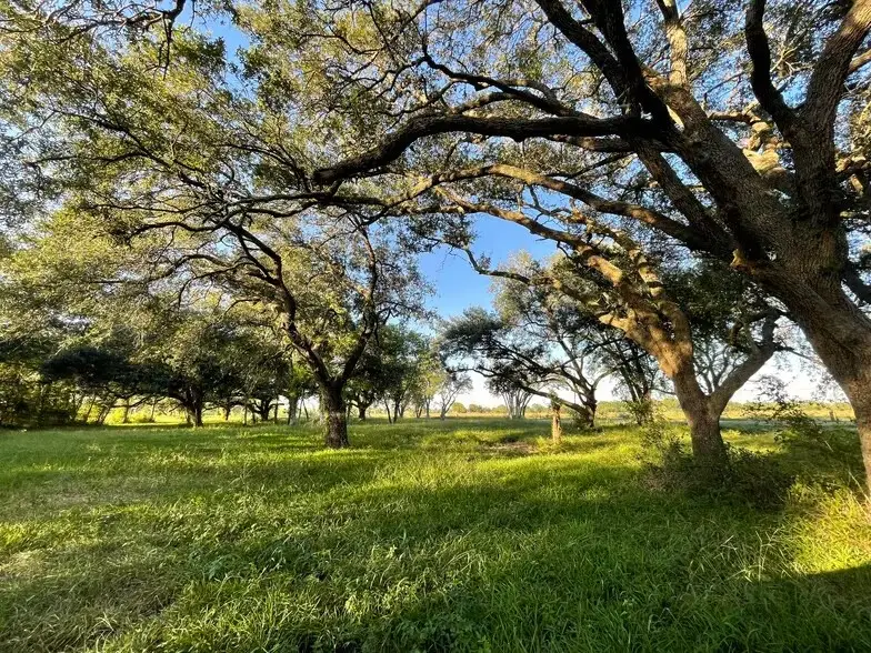 4903 Davenport Parkway, Rosharon, TX 77583 - #1