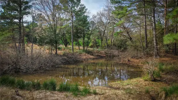 (39.15 acres) 12868 County Road 122, Centerville, TX 75833