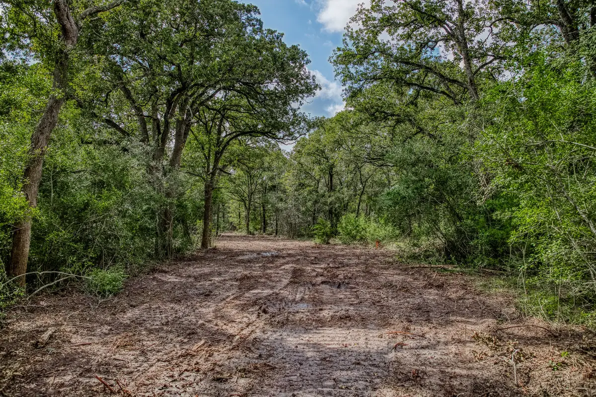 Tract 1 Sun Oil Road, Brenham, TX 77833 - Image #1