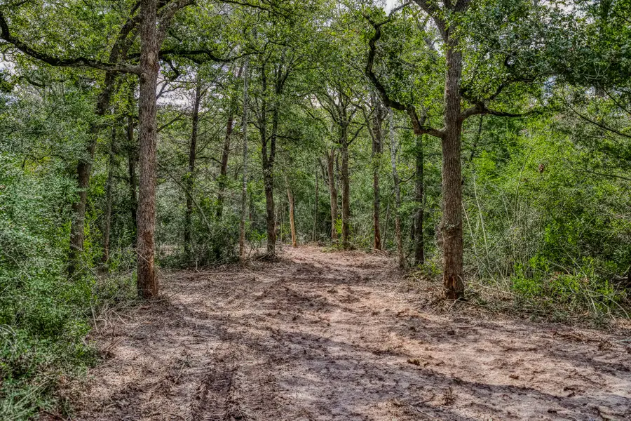 Tract 1 Sun Oil Road, Brenham, TX 77833 - Image #3