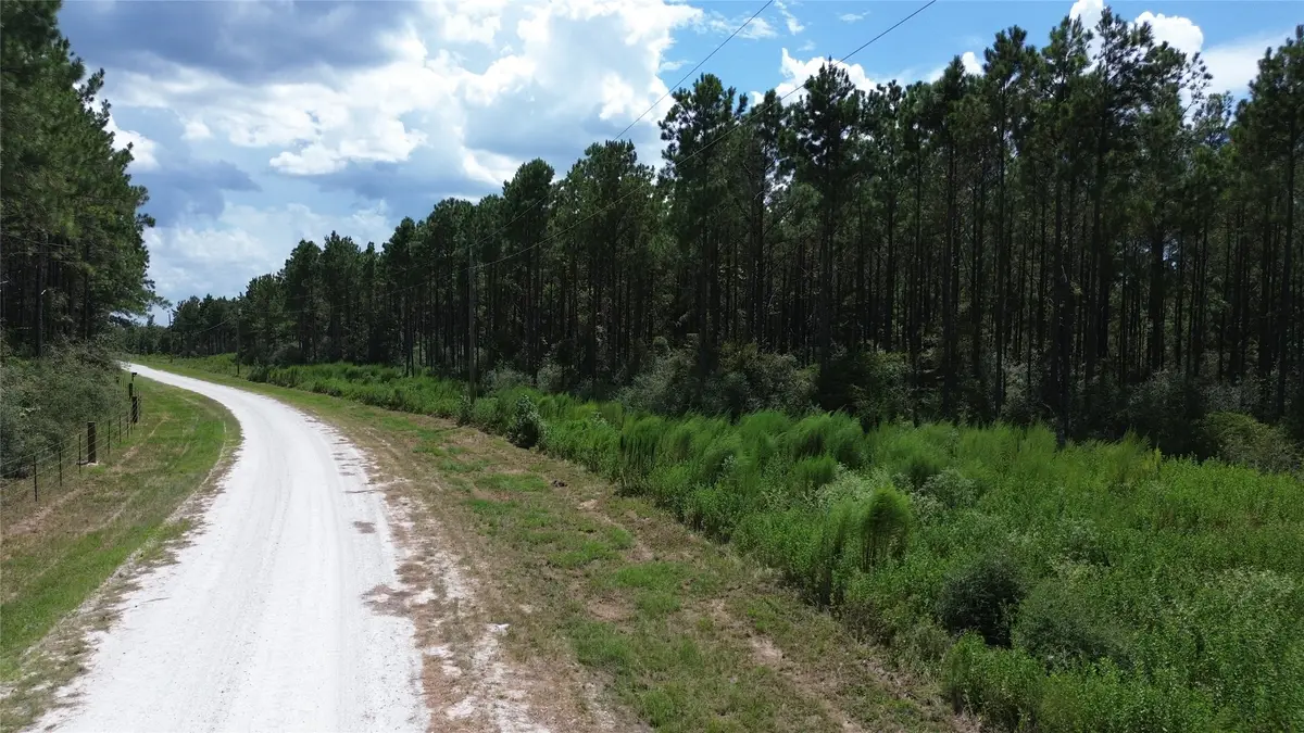 Tract 18 Pr 8160, Lovelady, TX 75851 - #1