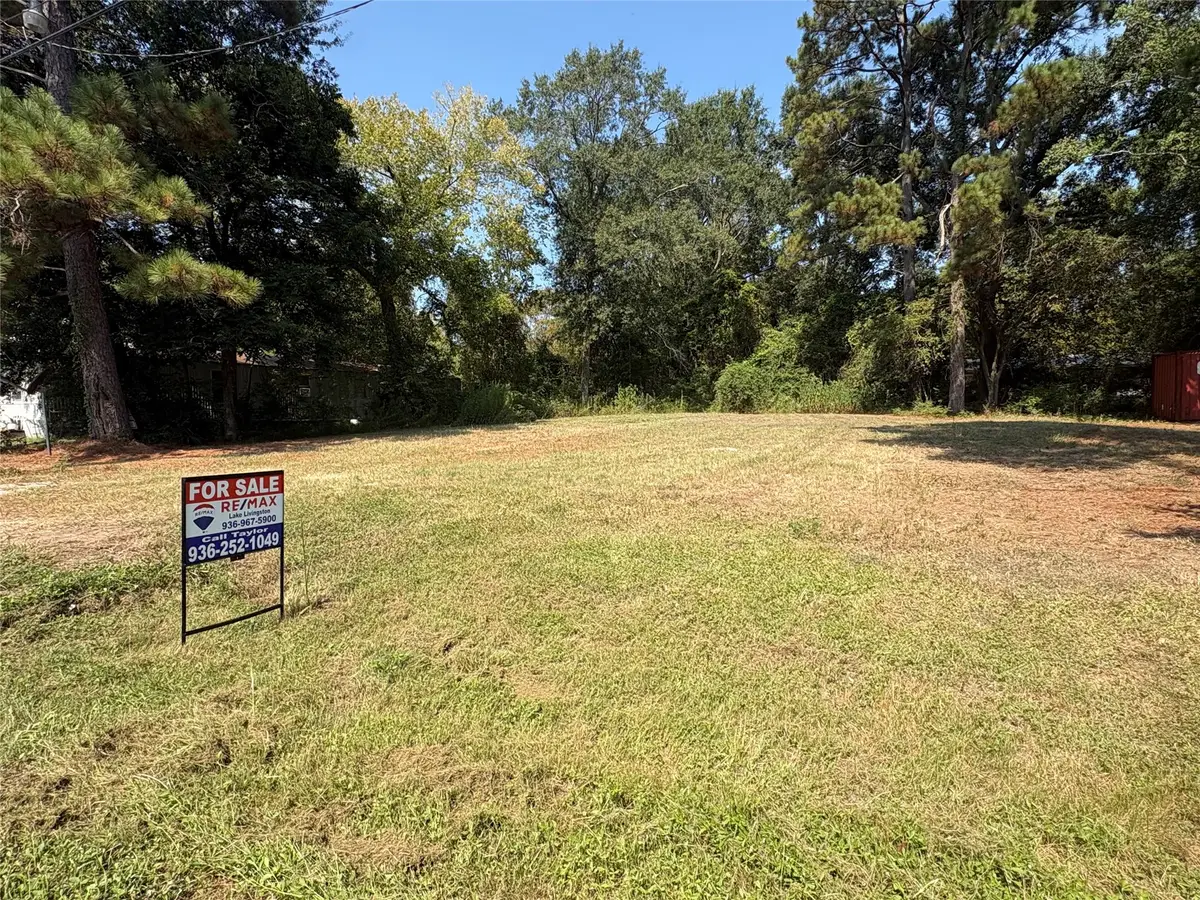 1510 S Byrd Avenue, Shepherd, TX 77371 - #1