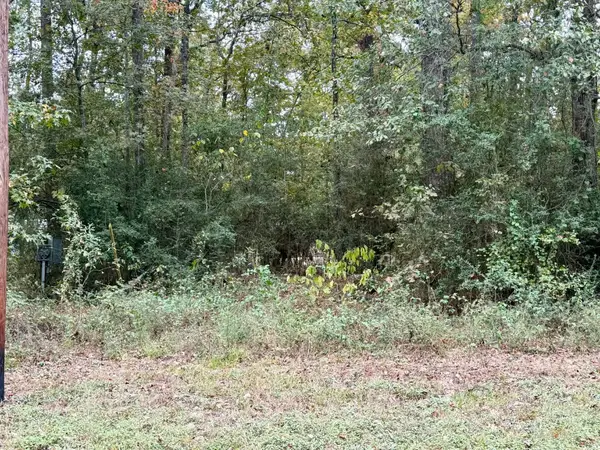 291 Beaver Run, Livingston, TX 77351