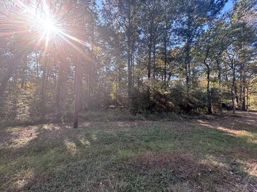 291 Beaver Run, Livingston, TX 77351 - #3