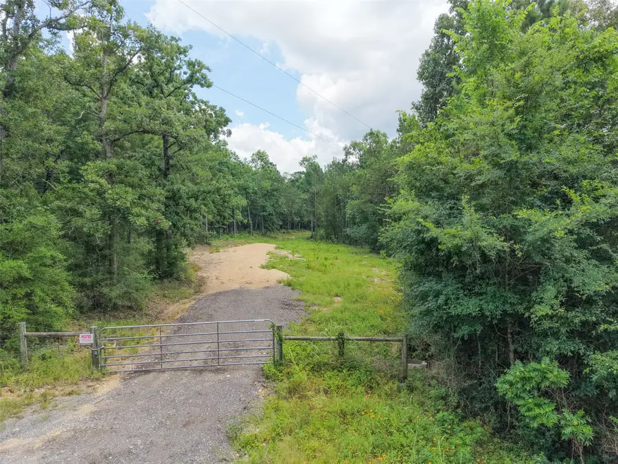 14452 Trero Lane, Willis, TX 77378 - #3